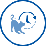 Katzen und Uhr Symbol