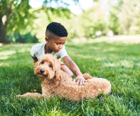 Junge mit Hund
